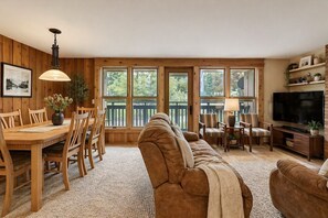 Télévision, cheminée, chaîne hi-fi