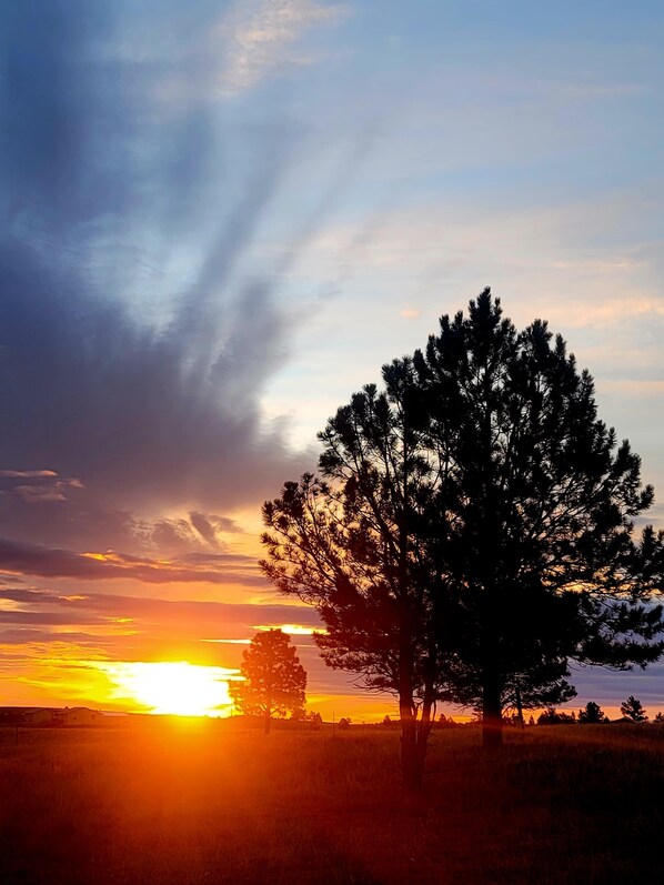 A sunset with a silhouette of a tree in a field.