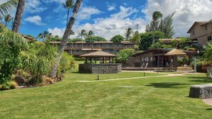 A resort with a well-maintained lawn, palm trees, and a building with a covered patio area.
