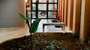 Lobby - Arte Hotel (Santa Marta)