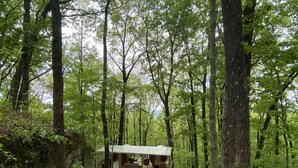 Una zona boscosa amb un camí de grava que condueix a una cabana rústica amb teulada metàl·lica i terrassa de fusta.