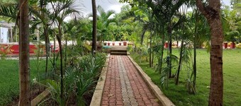 Panther Jungle Stay