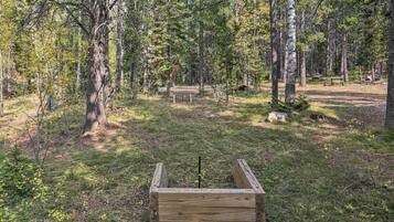 Terrain de l’hébergement