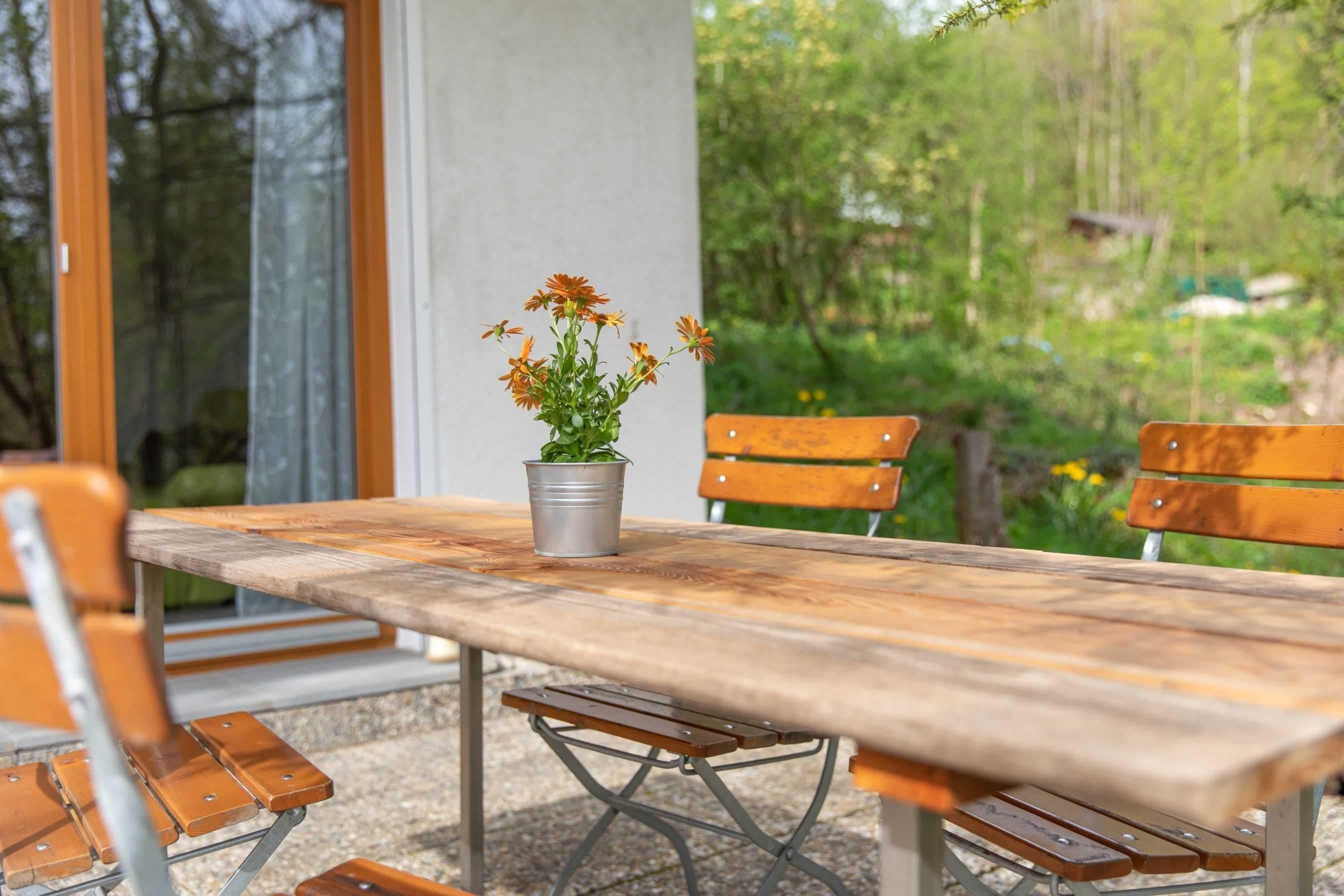 A wooden table with a metal frame, a potted plant, and wooden chairs.