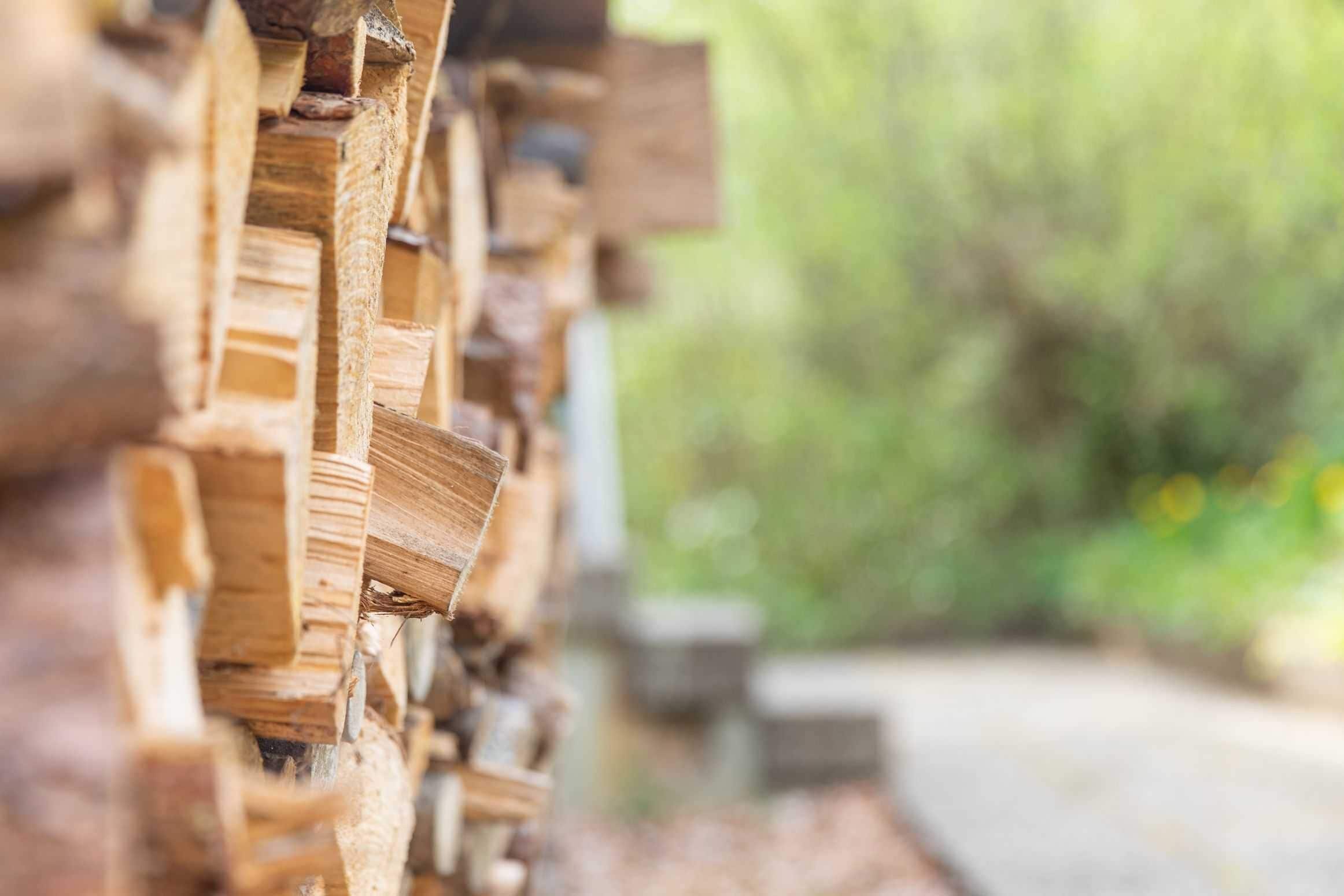 Terrain de l’hébergement 