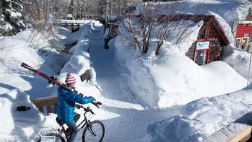 Snow and ski sports