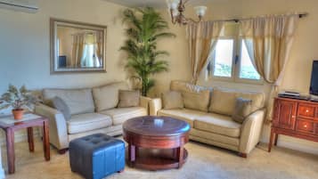 TV, fireplace, DVD player, books