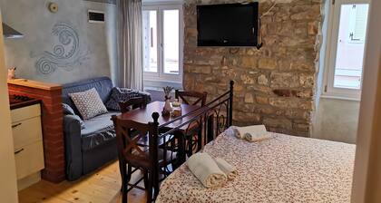 MAR - Apartments Bevk in charming Piran