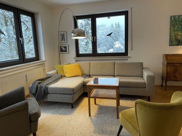 TV, fireplace, DVD player, books