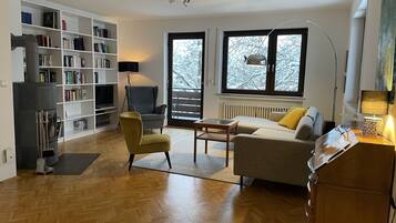Télévision, cheminée, lecteur de DVD, livres