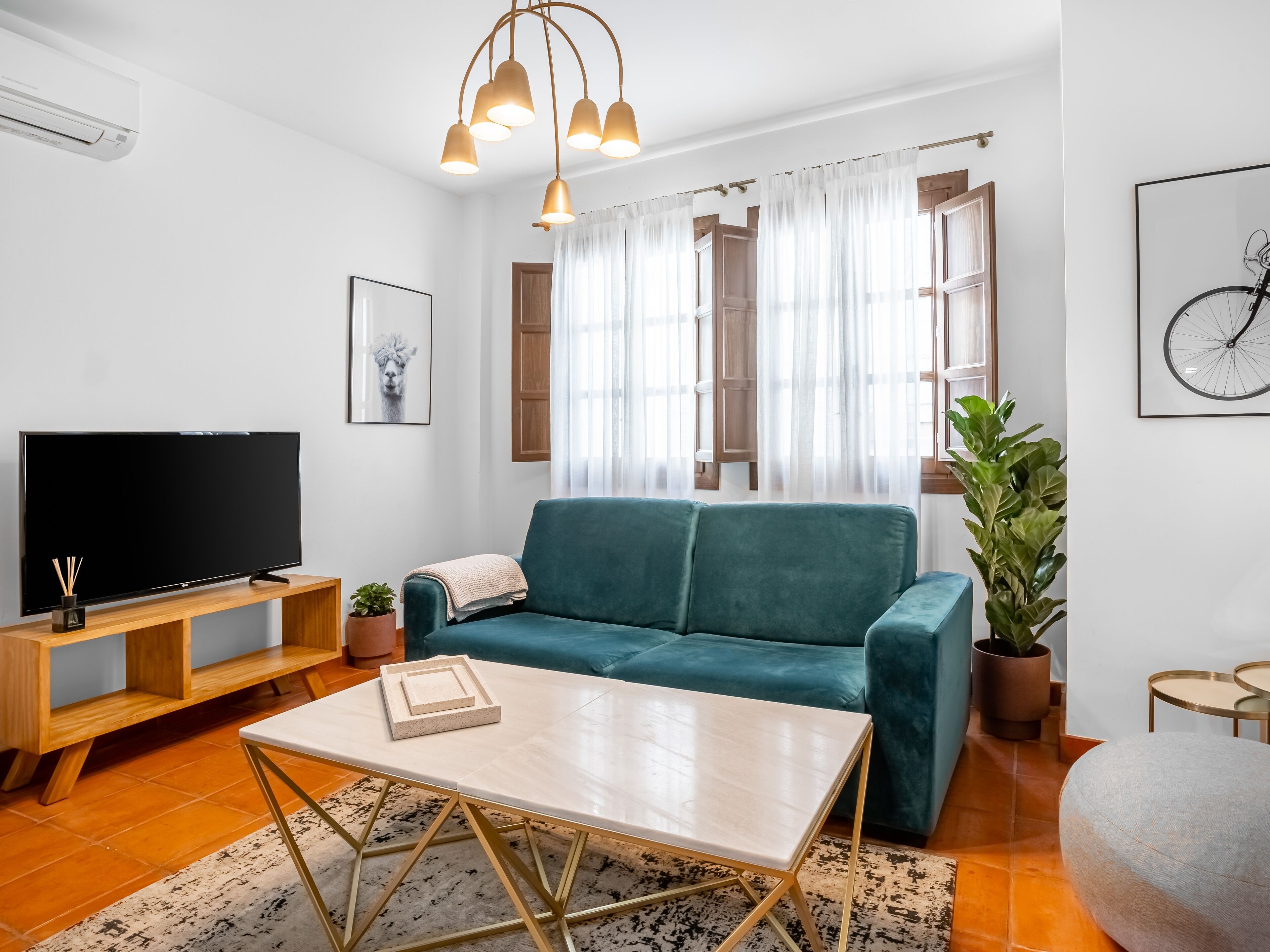 A modern living room with a teal sofa, a flat-screen TV, a coffee table, and a potted plant.