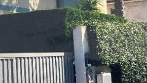 A gated entrance with a metal gate and a wall of dense green foliage. - Serenity Escape in Marina Di Caulonia (Caulonia)