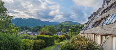 Apartment, 1 King Bed | Property grounds