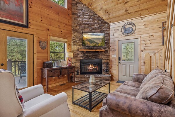 TV, fireplace, video games, DVD player