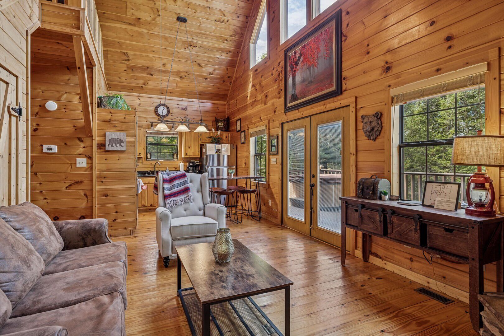 电视、壁炉、电子游戏、DVD 播放器