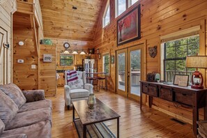 TV, fireplace, video games, DVD player