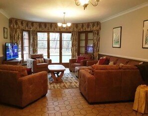 TV connectée, cheminée, lecteur de DVD, livres