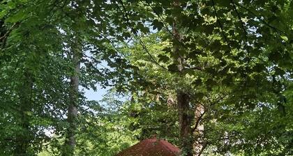 Apartment-Camp-Bar Grajski park Vitez - vacation in embrace of 100 year trees