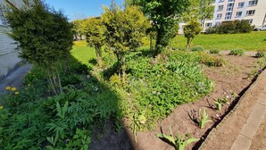 A garden with various plants and trees, a pathway, and a building in the background. - Gabriel (Maardu)