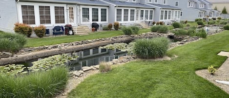 A row of townhouses with a small pond and grassy areas.