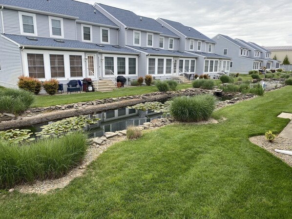 A row of townhouses with a small pond and grassy areas.