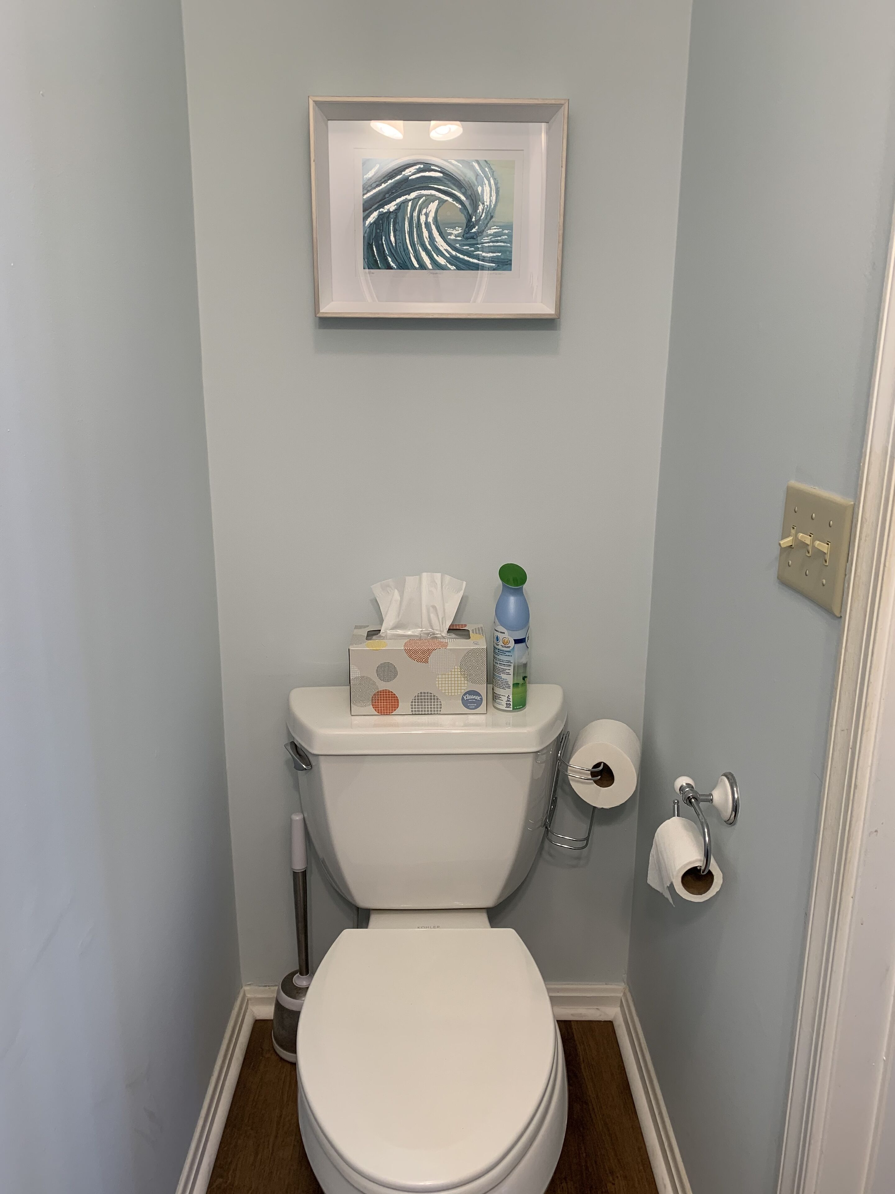 A bathroom with a toilet, a framed artwork above it, and a roll of toilet paper on the wall.