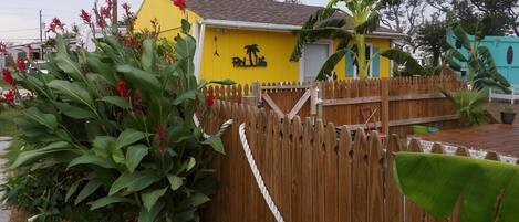 Terrein van de accommodatie