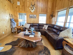 TV, fireplace, books