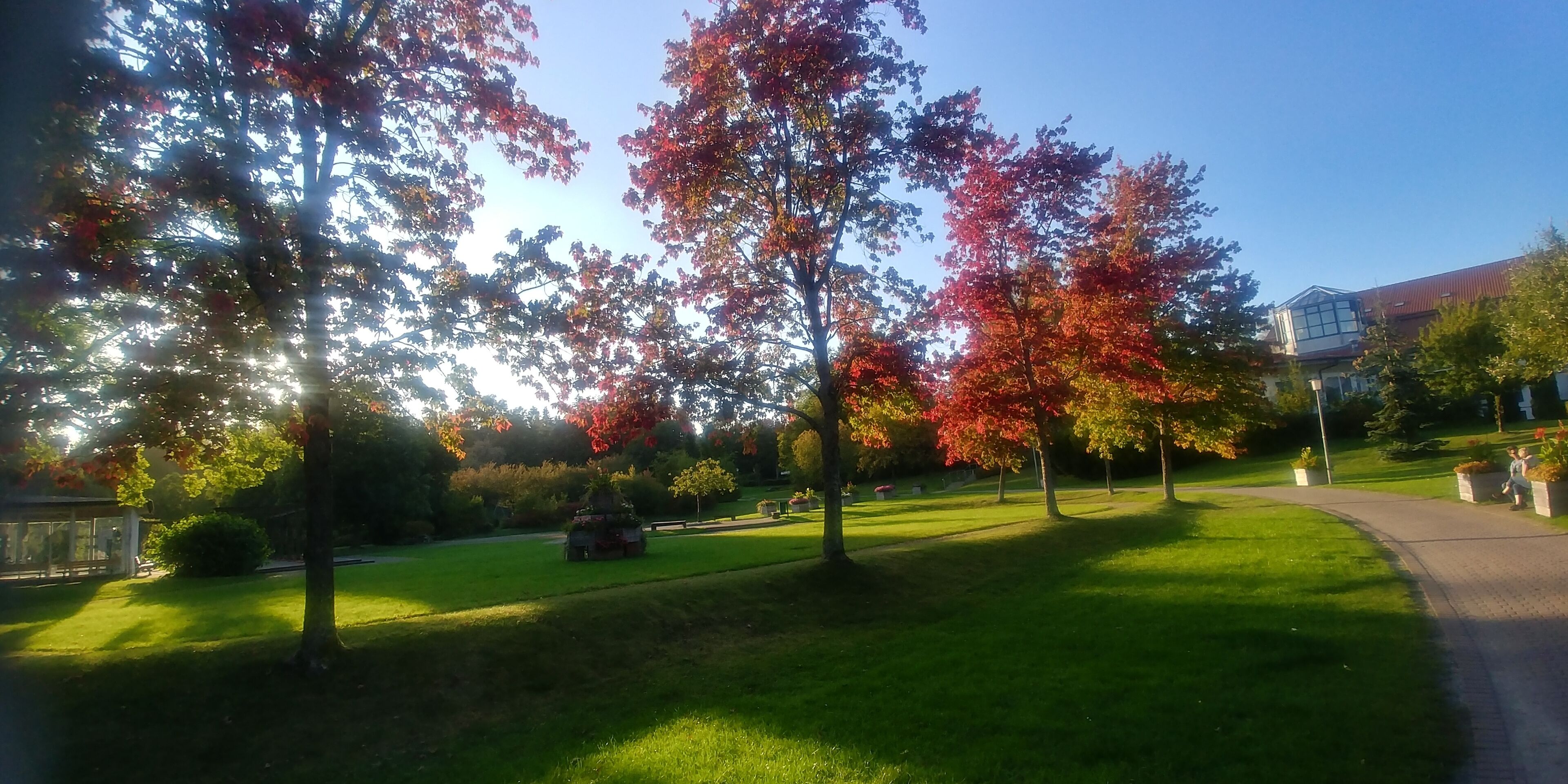 Ein gepflegter Park mit einem befestigten Weg, Bäumen im Herbstlaub und einem Gebäude im Hintergrund.