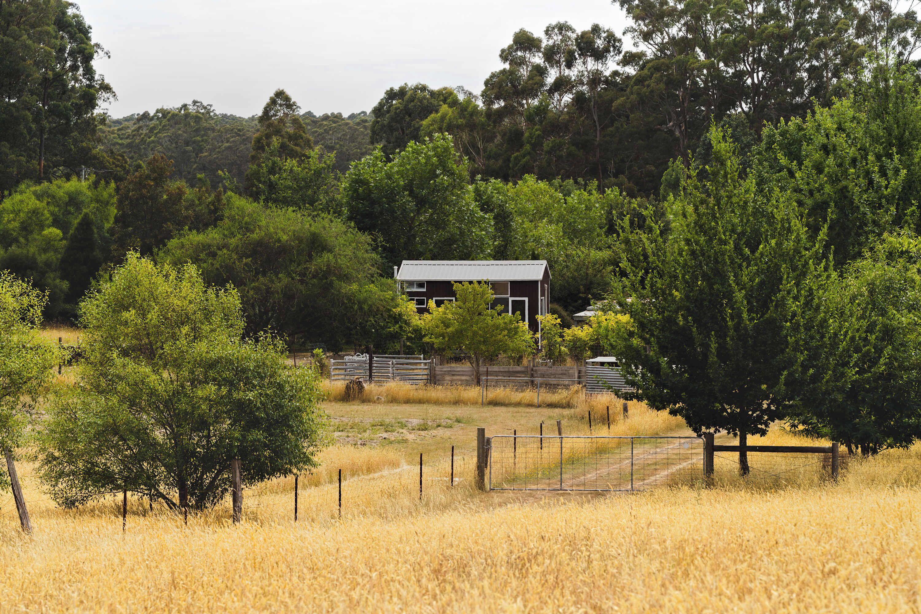 Un paysage rural avec une petite maison entourée d’arbres et une zone délimitée par une clôture.