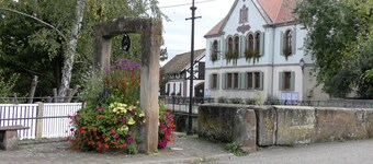 F3 apartment, 3km from Obernai, Strasbourg, Europa Park and Rulantica!