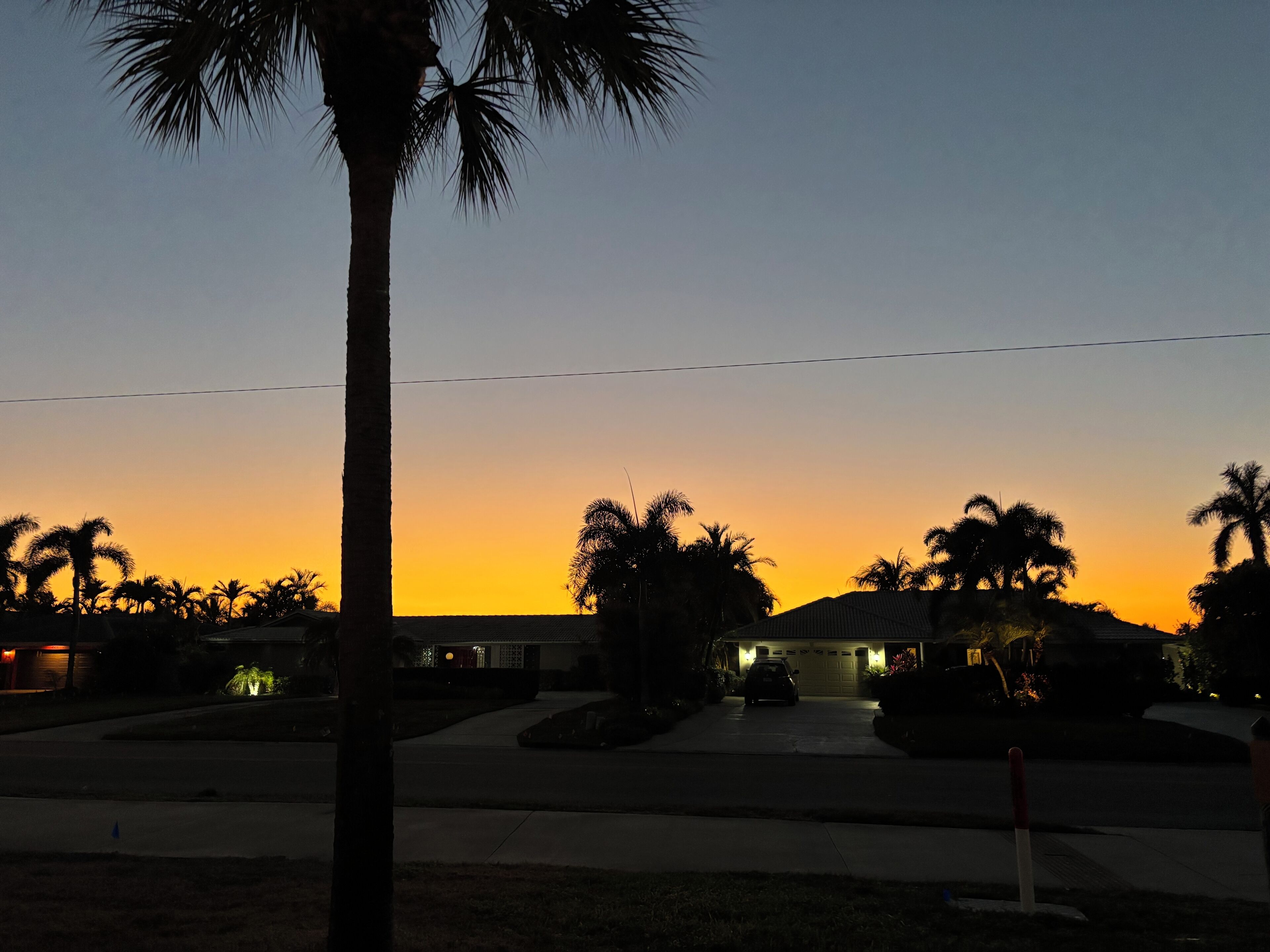 A residential street at dusk with houses and palm trees.