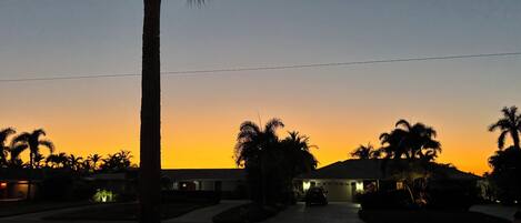 A residential street at dusk with houses and palm trees.