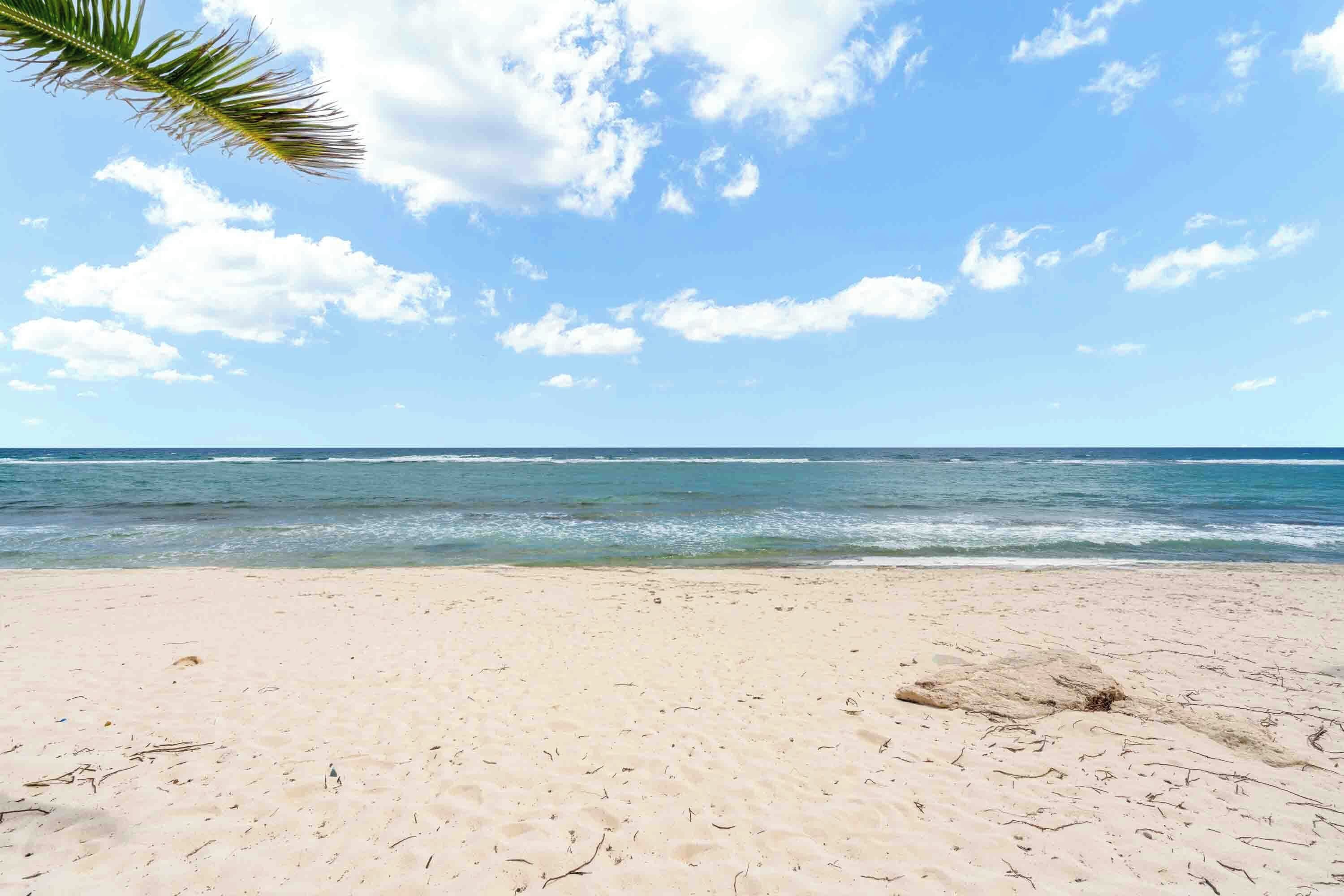 A beach with a palm tree, clear sky, and calm sea.
