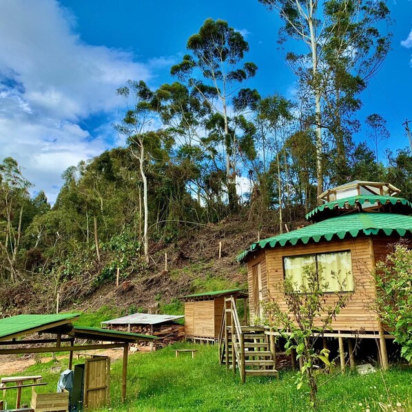 Exterior - Hospedaje Ecológico en Maloka (San Pedro)