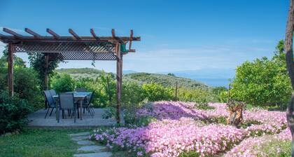 Mikros Paradisos Pelion