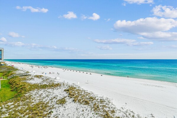 在海滩、沙滩椅