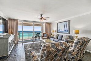 电视、DVD 播放器