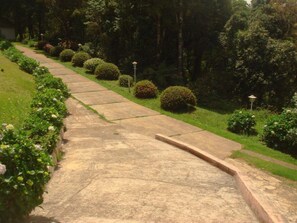 Jardín