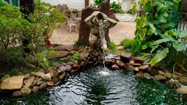 Un jardín con fuente de agua, que incluye una estatua, rocas y plantas.