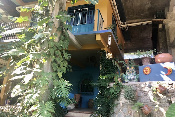 Front steps to the house, first apartment, Lucy is the jungle hideaway,Apt 1