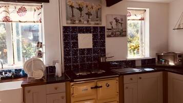 Cottage | Living area | 60-inch flat-screen TV with satellite channels, TV, fireplace