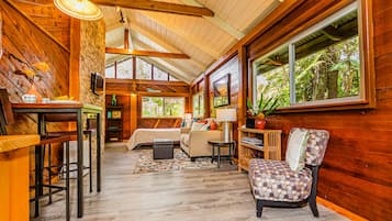 Una Smart TV, una chimenea, un reproductor de DVD