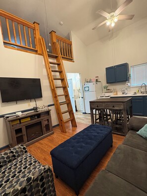 Télévision, cheminée, livres