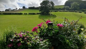 A lush green field with a tree and a flower bed in the foreground. - Shepherds Hut, self catering, Powys (Cascob)