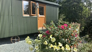 A small, green metal building with a wooden door and windows. In front, there is a planter with yellow and pink flowers. - Shepherds Hut, self catering, Powys (Cascob)