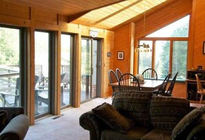 Smart TV, fireplace, DVD player, video library