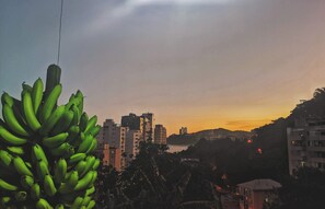Vista da propriedade