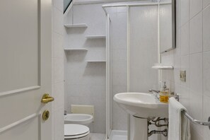 Shower, hair dryer, bidet, towels