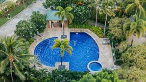 An aerial view of a resort with a central swimming pool surrounded by palm trees and lush greenery. - Waikiki | Tropical Escape | Pool & Saun (Honolulu)